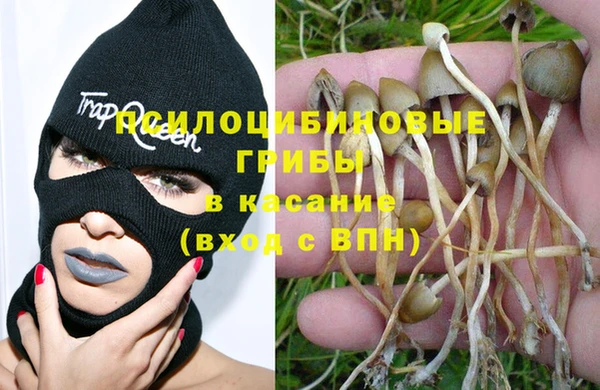 таблы Алзамай