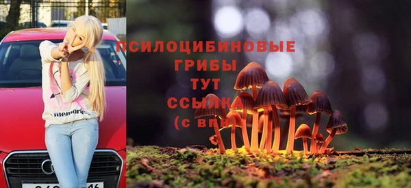шишки Алексеевка