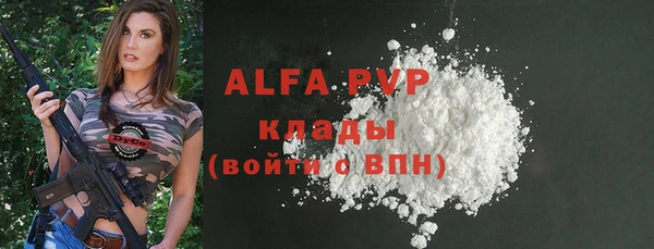 стаф Алексин