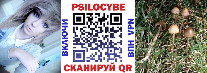 Галлюциногенные грибы Psilocybine cubensis  купить закладку  Комсомольск 